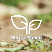 nature sound