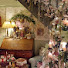 GC_4bQdDwYo-channel-avatar-Sarah's Country Cottage & Garden