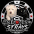33Q_cf8ZtSE-channel-avatar-SlotsforStrays