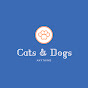 cats🐾dogs logo