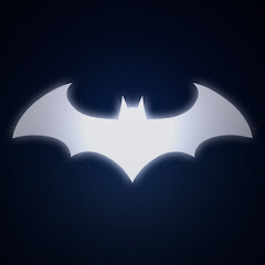 Batman Arkham Videos net worth