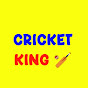 cricket kinG logo