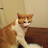@user-uj6bh5lm9i