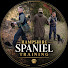0jf2NyK15c4-channel-avatar-Hampshire Spaniel Training