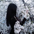 xq5ALU_97xE-channel-avatar-FATFAT🌸