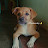 @Nivas-q4k9d