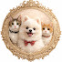 0KAHM8FFSYg-channel-avatar-犬と猫と、なんちゃってヨーロピアンな暮らし