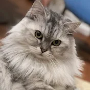 こうめ
