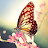 @love-happy-thank