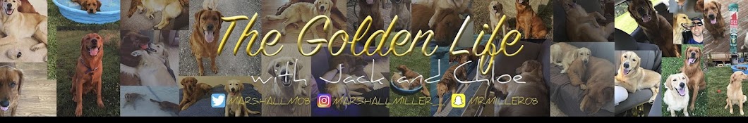 Marshall Miller YouTube channel avatar