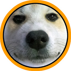 秋田犬のびしゃもん(毘沙門)【自然と動物が好きな人のチャンネル】Akitadog"Bisyamon"アイコン画像