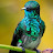 author-img