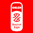  ORLEN Basket Liga
