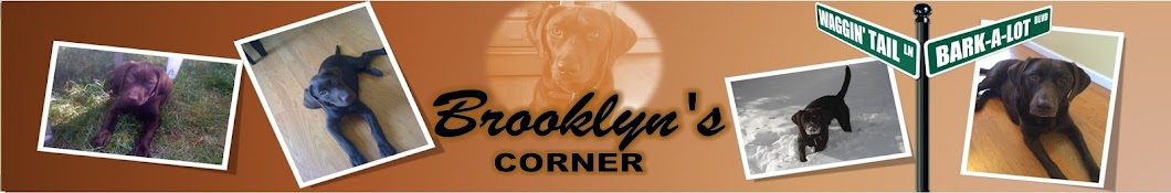 Brooklyns Corner YouTube channel avatar