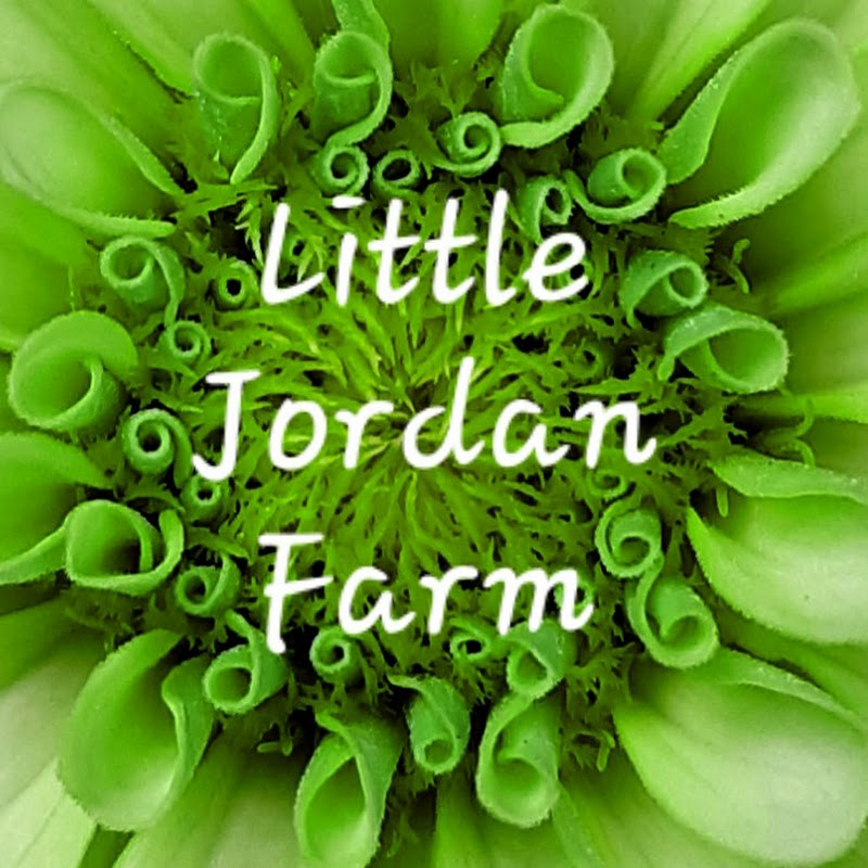 Little Jordan Farm