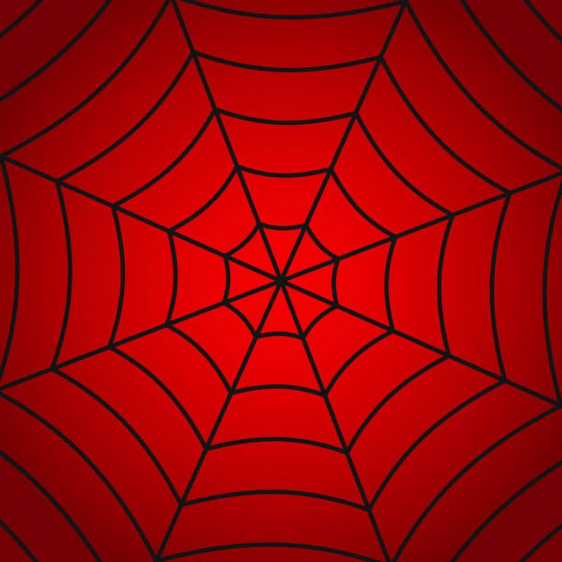 Spider Media