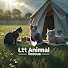 JFp8aMf7UDE-channel-avatar-LTT Animal - Rescue