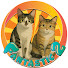 yhoI0lq4S58-channel-avatar-Fantastic 2 | 美食貓遊俠