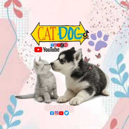 🐱(CAT)🐶(DOG)