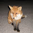 xPbqN2i65GY-channel-avatar-Skogstorparn