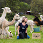 daniela riccio @littlevalleyfarm Alpaca Farm logo