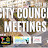 Flint City Council Meetings