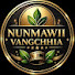 026N9gkKE_A-channel-avatar-Nunmawii Vangchhia