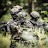 @ROK-ARMY123
