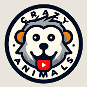 Crazy Animals 3D