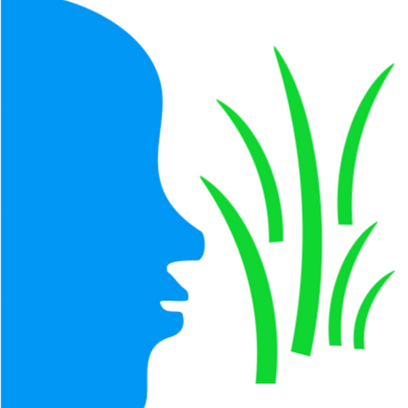 The Grassroots Institute