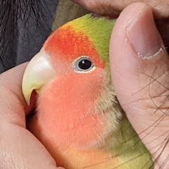 美しくなるチャンネル