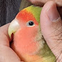 美しくなるチャンネル