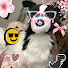 BhgoXOXpE8Y-channel-avatar-Føřëşț>_<