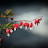@광개토-z7e