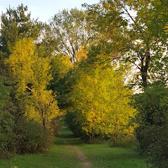 Minnesota Weather And Walks