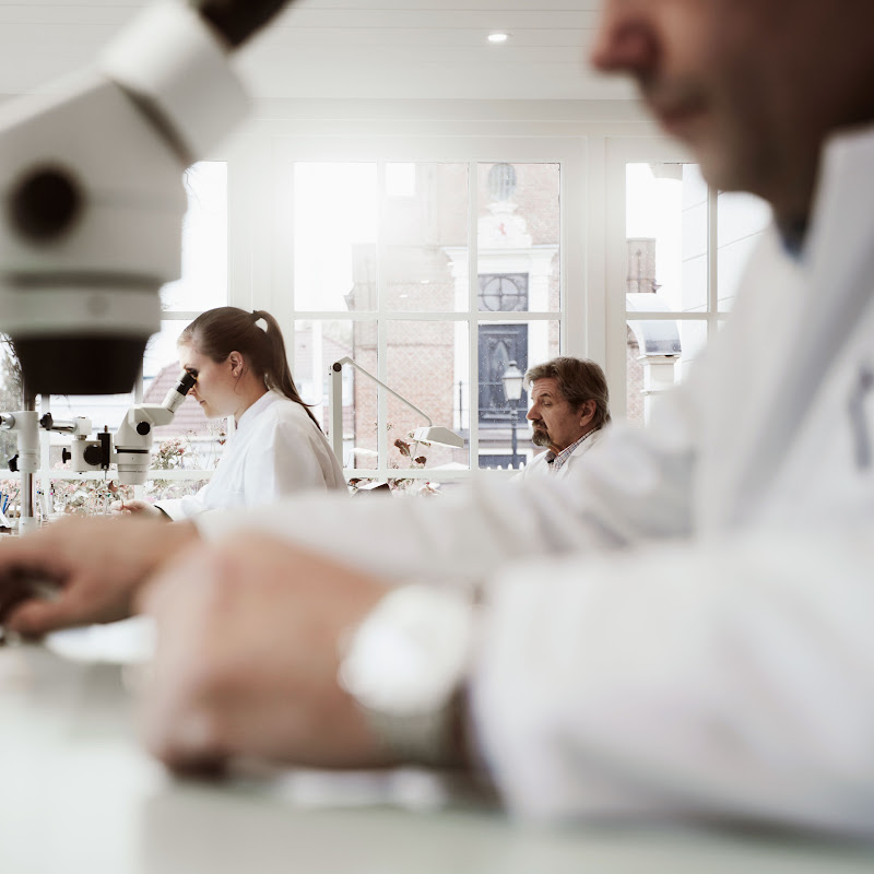 Chronoglide Watchmakers Logo