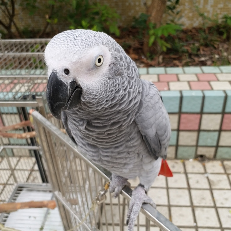 超超孫~吃喝玩樂 Logo