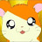 @햄토리-q7u