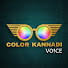 C6NMhgh1zIY-channel-avatar-Color Kannadi Voice