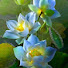 fdK7YRmP-7Y-channel-avatar-Danh Nguyen