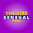 The Vibe Senegal 