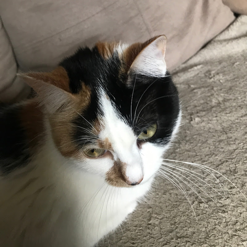 Astra, Plume et moi.