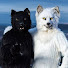 ZhmjfDJ0D2U-channel-avatar-BerkWolf