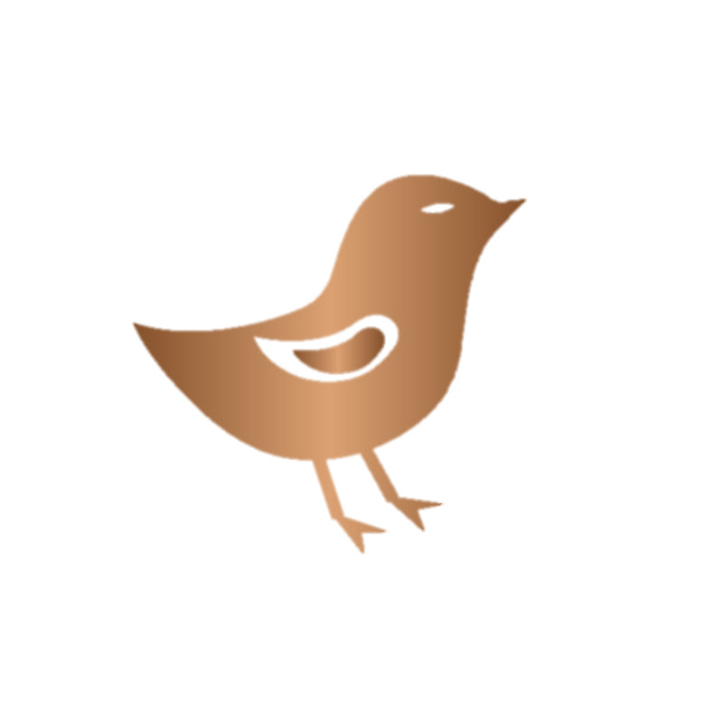 Lawyer Birdie / Хуульч Шувуухай