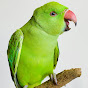 Parrot Ecstasy logo