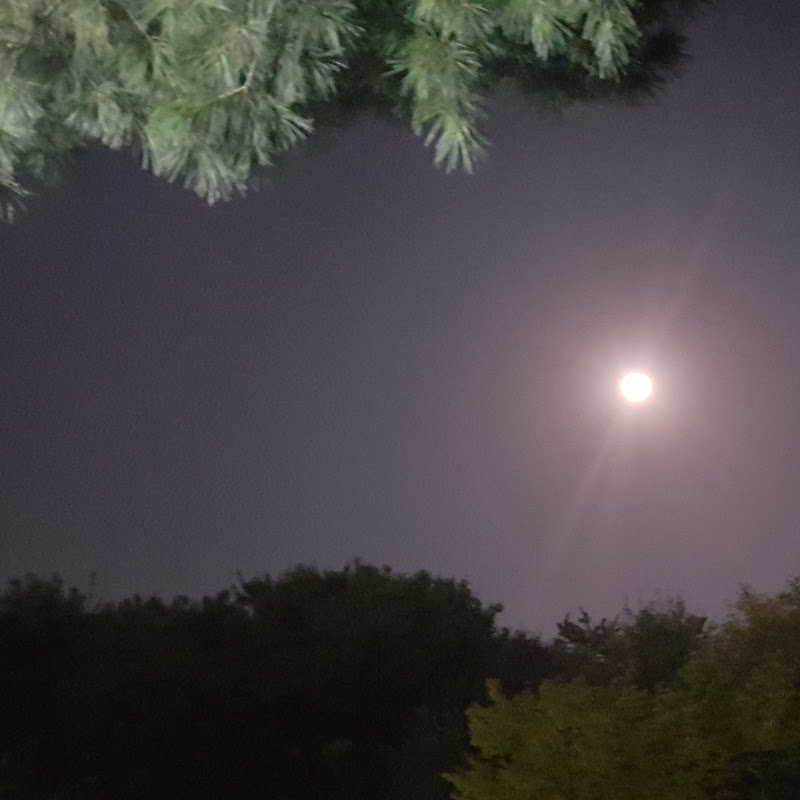 산적두목