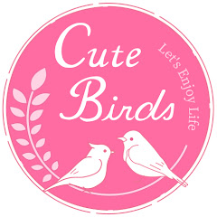 わかりやすいヨガ Cute Birds  net worth