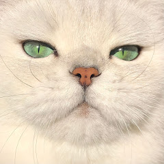 WhiskerLOL