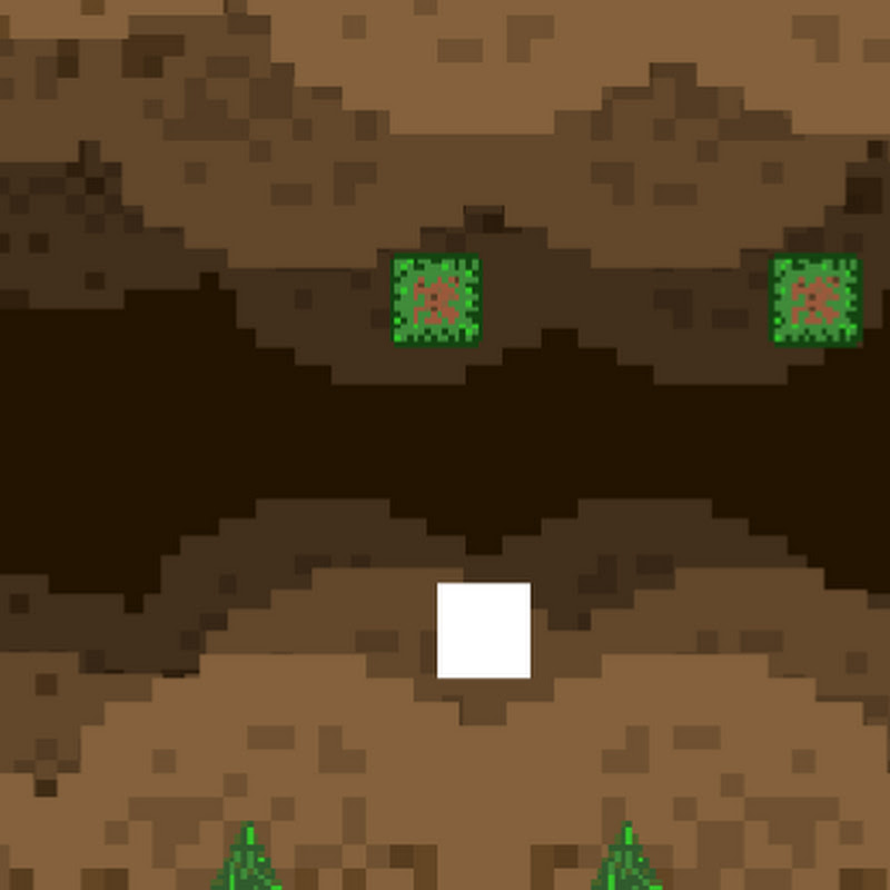 The platformer