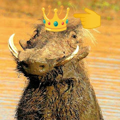 king of savannah 👑👑